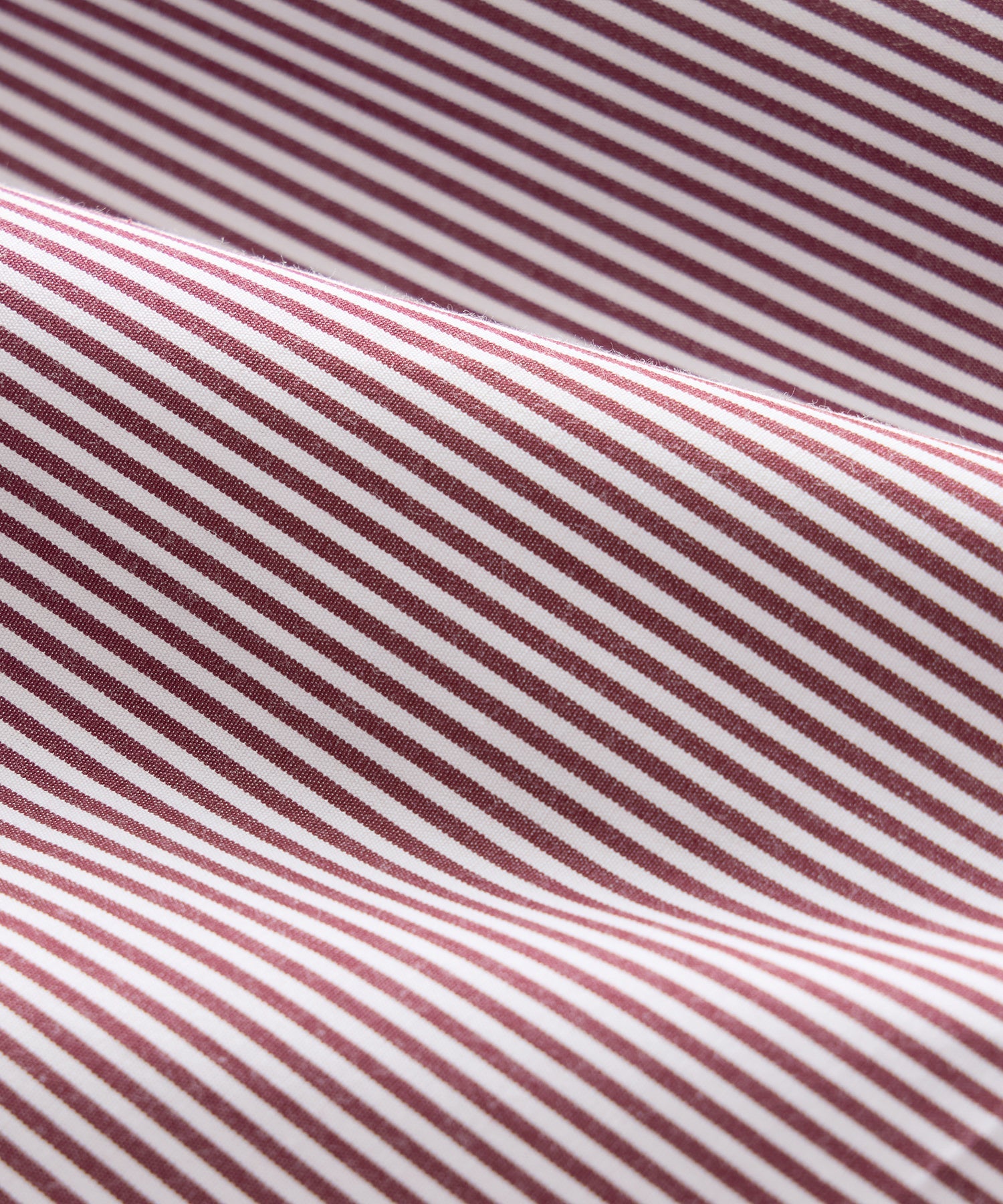 Portuguese Cotton Boxers