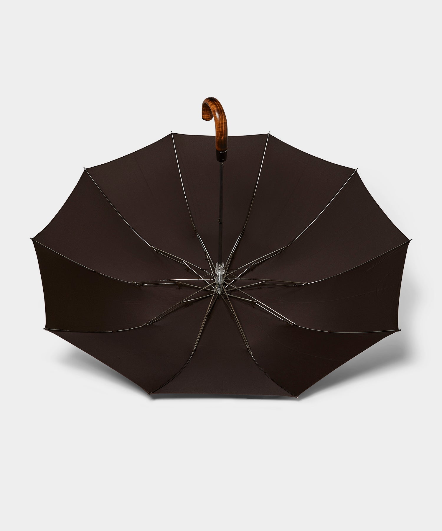 Fox Umbrellas Small Umbrella in Brown